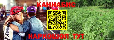 spice Гусев