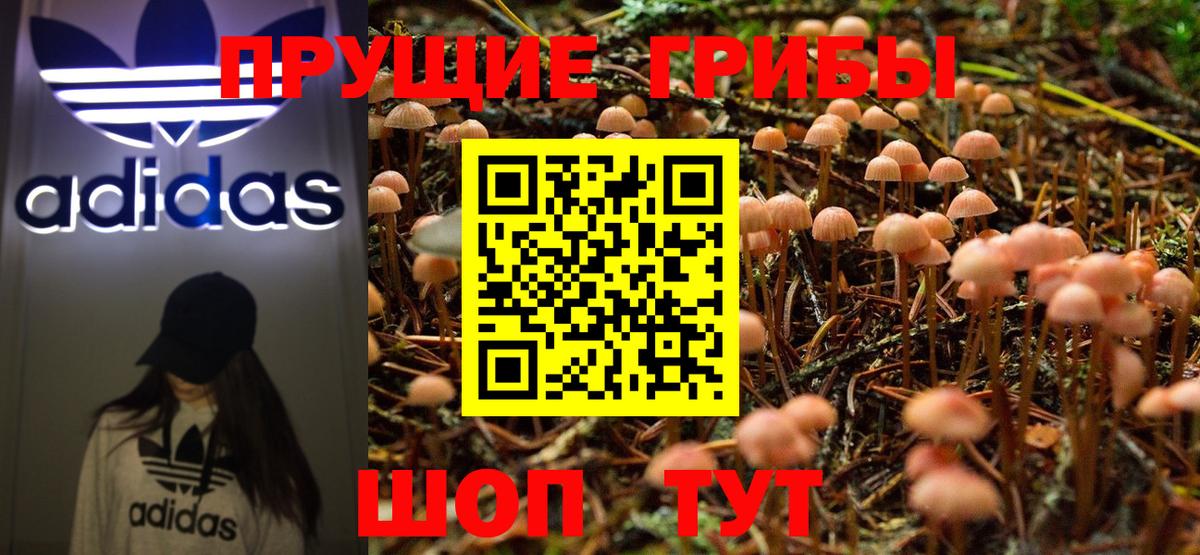 Псилоцибиновые грибы Cubensis  Псилоцибиновые грибы GOLDEN TEACHER  Берёзовский 