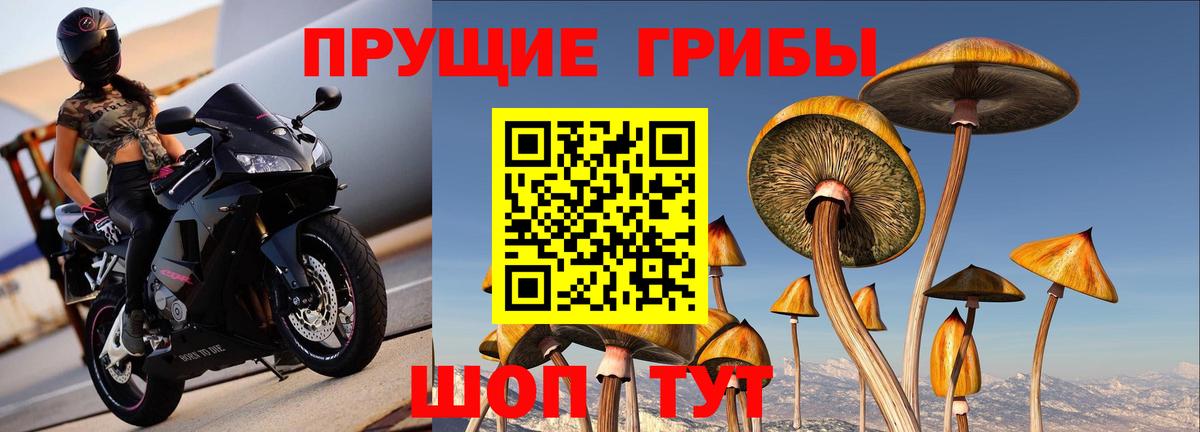 Берёзовский  Псилоцибиновые грибы мицелий  как найти закладки  Галлюциногенные грибы Cubensis  Вход с VPN 